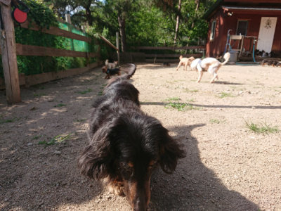 f:id:roukenhome-ann:20190613205500j:plain