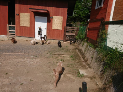 f:id:roukenhome-ann:20190613205514j:plain