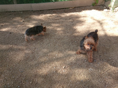 f:id:roukenhome-ann:20190613205521j:plain