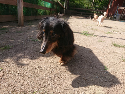 f:id:roukenhome-ann:20190613205527j:plain