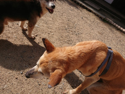 f:id:roukenhome-ann:20190613205629j:plain