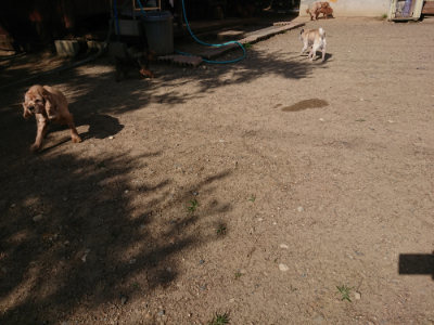 f:id:roukenhome-ann:20190613205640j:plain