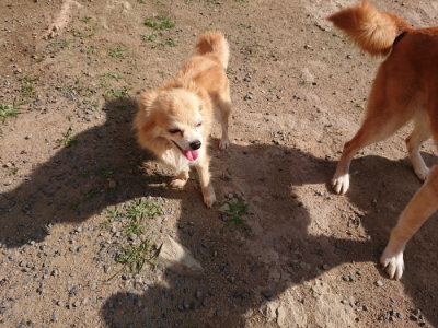 f:id:roukenhome-ann:20190613205714j:plain