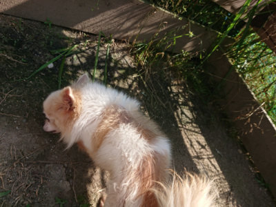 f:id:roukenhome-ann:20190613205724j:plain