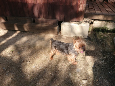 f:id:roukenhome-ann:20190613205729j:plain