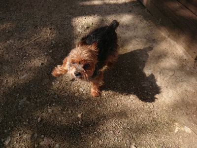 f:id:roukenhome-ann:20190613205819j:plain