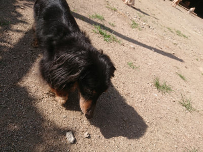 f:id:roukenhome-ann:20190613205826j:plain