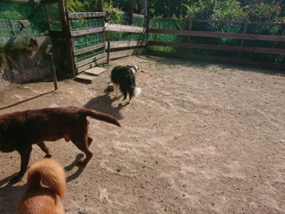 f:id:roukenhome-ann:20190613205831j:plain