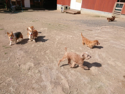 f:id:roukenhome-ann:20190613205836j:plain