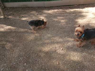 f:id:roukenhome-ann:20190613205842j:plain