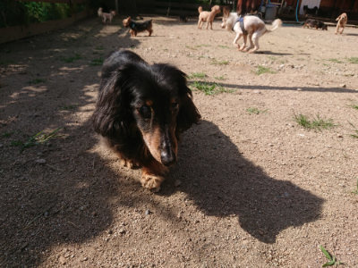 f:id:roukenhome-ann:20190613205849j:plain