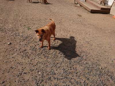 f:id:roukenhome-ann:20190613205854j:plain