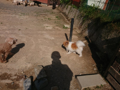 f:id:roukenhome-ann:20190613205901j:plain