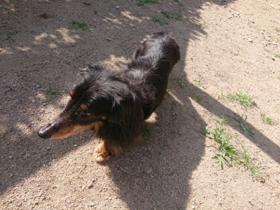 f:id:roukenhome-ann:20190613205906j:plain