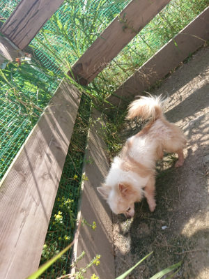 f:id:roukenhome-ann:20190613205919j:plain