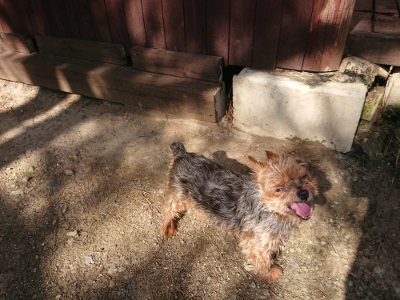 f:id:roukenhome-ann:20190613205931j:plain