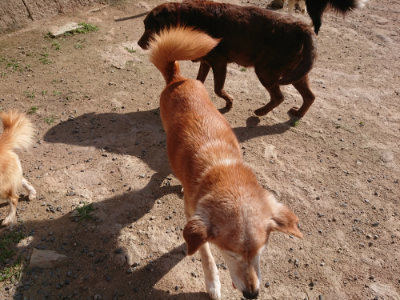 f:id:roukenhome-ann:20190613205936j:plain