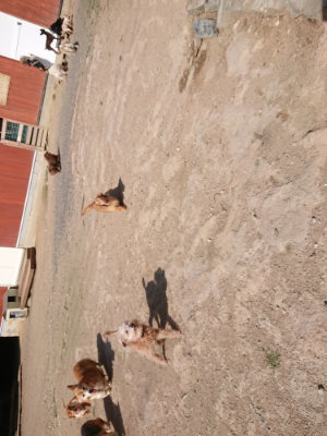 f:id:roukenhome-ann:20190613205942j:plain