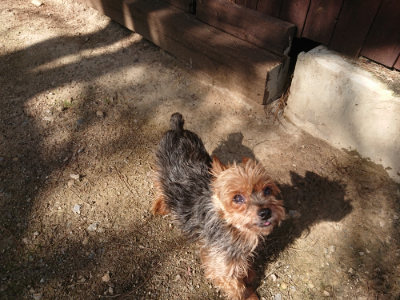 f:id:roukenhome-ann:20190613205949j:plain