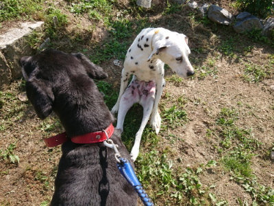 f:id:roukenhome-ann:20190614132608j:plain