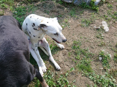 f:id:roukenhome-ann:20190614132622j:plain