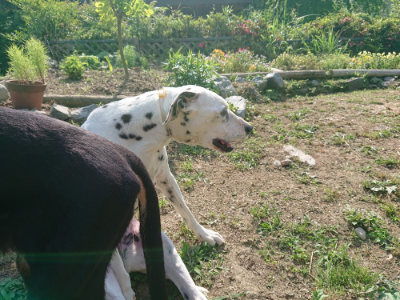 f:id:roukenhome-ann:20190614132646j:plain