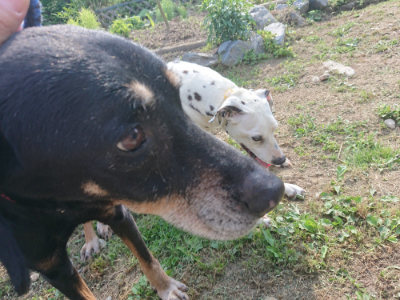 f:id:roukenhome-ann:20190614132702j:plain