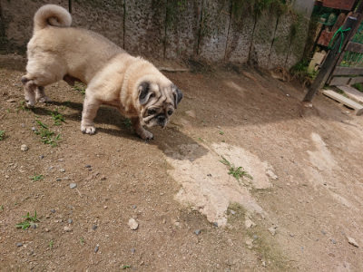 f:id:roukenhome-ann:20190614134217j:plain