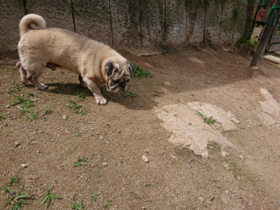 f:id:roukenhome-ann:20190614134220j:plain