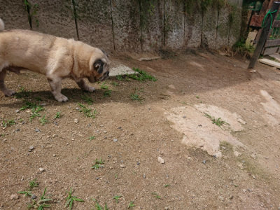 f:id:roukenhome-ann:20190614134225j:plain