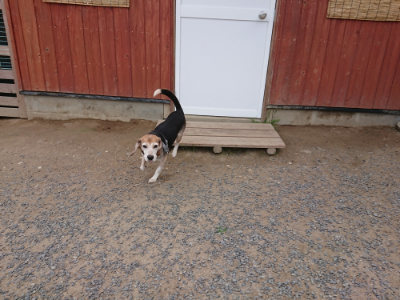f:id:roukenhome-ann:20190614134246j:plain