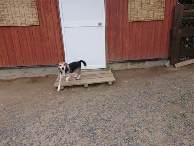 f:id:roukenhome-ann:20190614134252j:plain