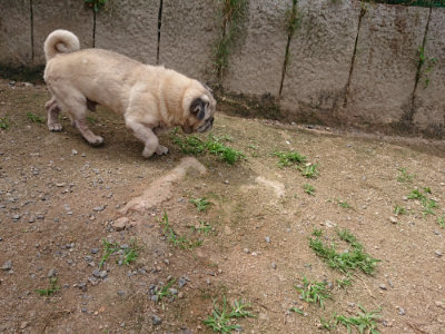 f:id:roukenhome-ann:20190614134257j:plain