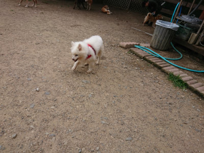 f:id:roukenhome-ann:20190614134405j:plain