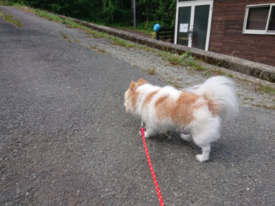 f:id:roukenhome-ann:20190614134440j:plain