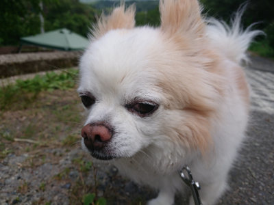 f:id:roukenhome-ann:20190614134449j:plain