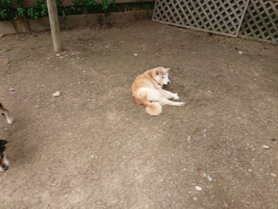 f:id:roukenhome-ann:20190614134511j:plain