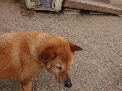 f:id:roukenhome-ann:20190614134531j:plain