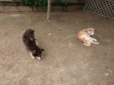 f:id:roukenhome-ann:20190614134556j:plain