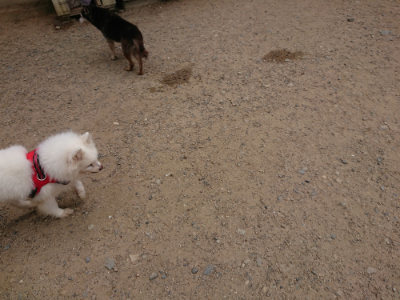 f:id:roukenhome-ann:20190614134610j:plain