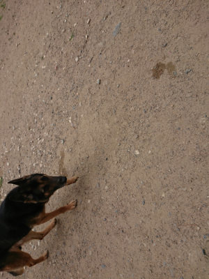 f:id:roukenhome-ann:20190614134615j:plain