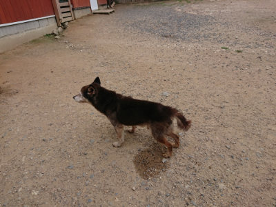 f:id:roukenhome-ann:20190614134654j:plain
