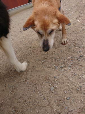 f:id:roukenhome-ann:20190614134746j:plain