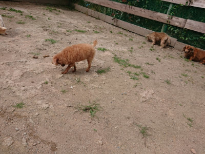 f:id:roukenhome-ann:20190614134750j:plain