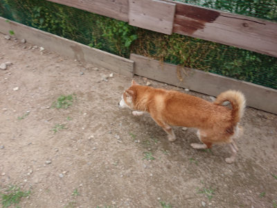 f:id:roukenhome-ann:20190614134817j:plain