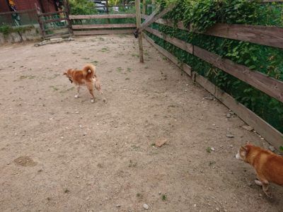 f:id:roukenhome-ann:20190614134822j:plain