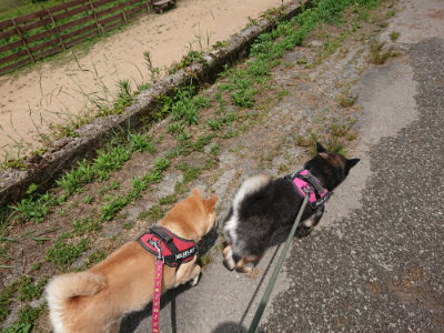 f:id:roukenhome-ann:20190614134922j:plain