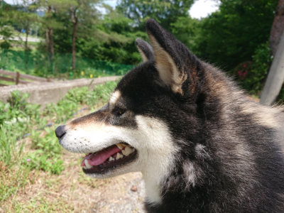 f:id:roukenhome-ann:20190614134945j:plain