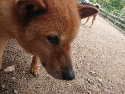 f:id:roukenhome-ann:20190614135108j:plain