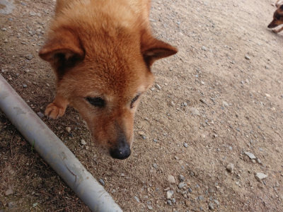 f:id:roukenhome-ann:20190614135118j:plain